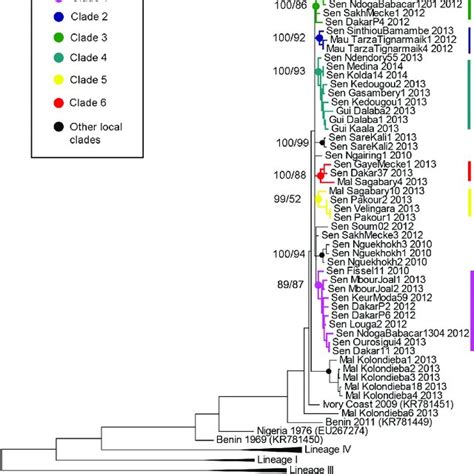 Phylogenetic Analysis Based On Concatenated PPRV N And H Complete