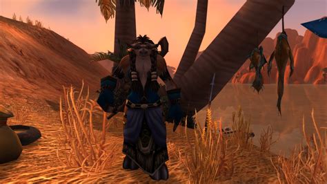 Ruf Des Wassers Quest World Of Warcraft Classic