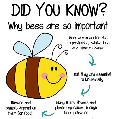 Why bees are so important? 🐝 | Bee activities, Bee facts, Bee crafts