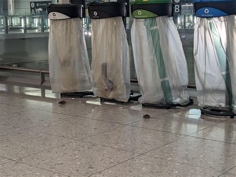 Heathrow arrivals : r/london