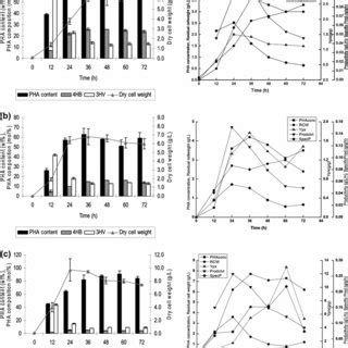 The Bacterial Growth Pha Accumulation Profile And The Kinetics Of