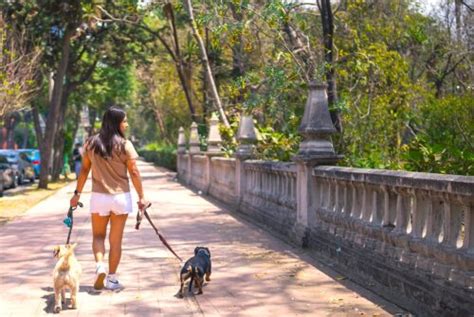 Beneficios De Los Trabajos De Verano Para Los Adolescentes Csc