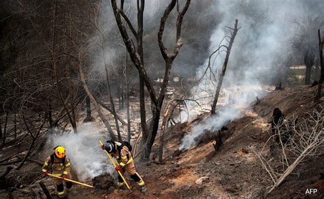 "It Was Raining Ash": Chile Wildfires Kill 112, Emergency Declared