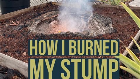 36 Stump Removal Complete Burn No Gas Or Oil YouTube