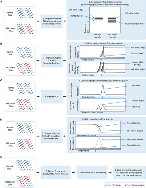 Frontiers Molecular And Computational Methods For The Detection Of