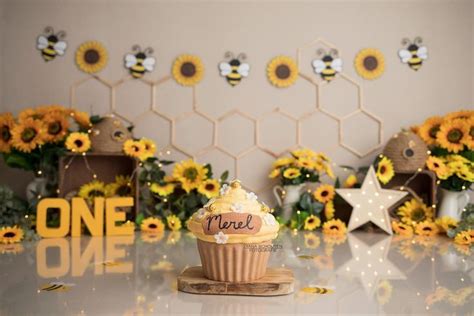 Zonnebloemen Bijtjes Cake Smash Fotoshoot Zuid Holland Hellevoetsluis