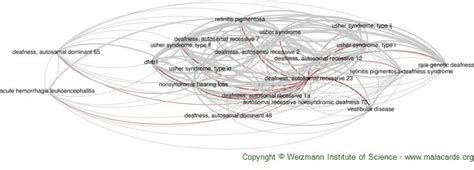 Deafness Autosomal Recessive 23 Disease Malacards Research Articles