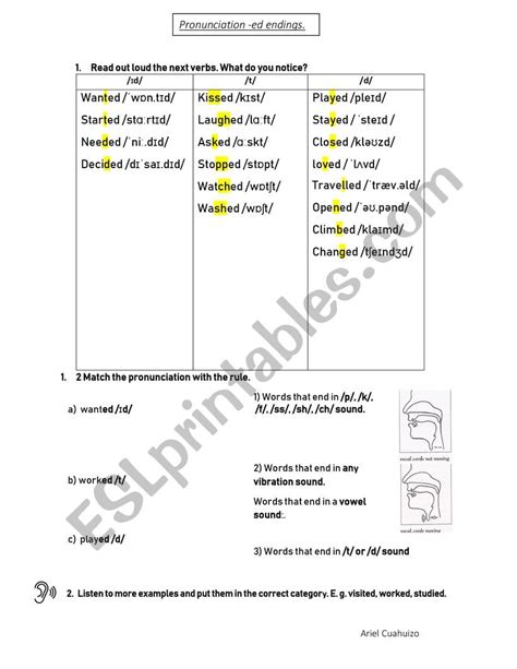 Pronunciation Of Regular Past Tense Verbs