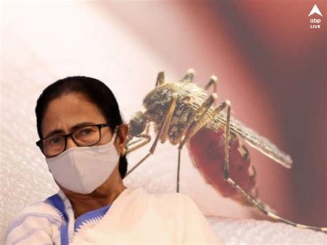 Dengue 3 Infection Is Spreading In West Bengal Mamata Banerjee Urges To Be Cautious Dengue 3