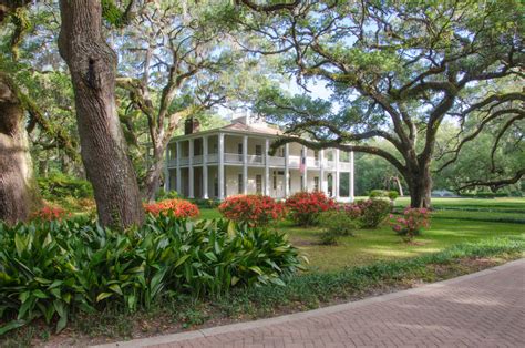 John Levandoski | Eden Gardens State Park, Florida