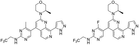 一种萘啶衍生物及其应用的制作方法