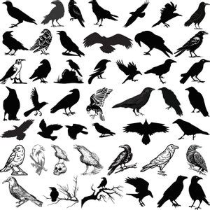 Raven Svg Bundle Raven Clipart Raven Svg Cut Files For Cricut Dark