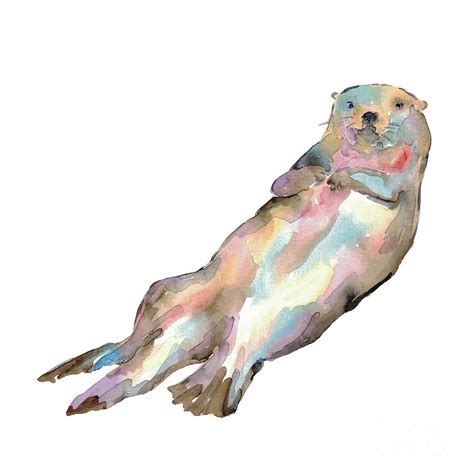 Otter Watercolor Painting By Maryna Salagub Fine Art America