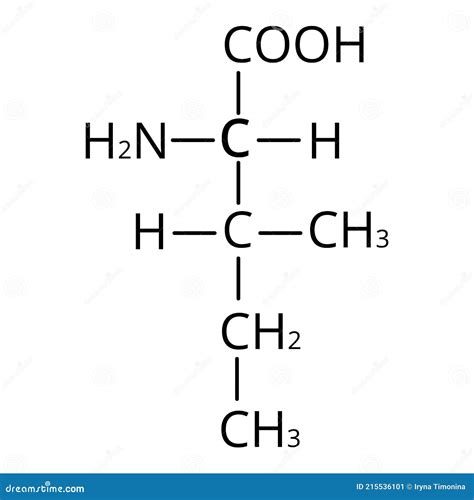 Isoleucine Amino Acid Structure | Hot Sex Picture