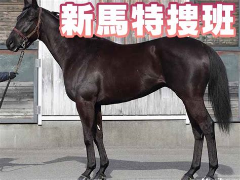 【新馬戦特集】一族の復権を狙う注目馬がデビュー！丹下日出夫 競馬ニュース Netkeiba