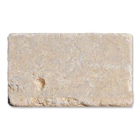 Seashell Tumbled Limestone Tile 3x6 Marble Slab Tureks Marble