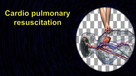 Cardio Pulmonary Resuscitation Ppt Cpr Ppt