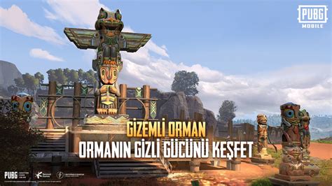 Pubg Mobile Da Gizemli Orman Modu Yay Nland Webtekno