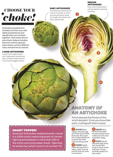 Top Health Benefits Of Artichokes And Artichoke Extract Artofit