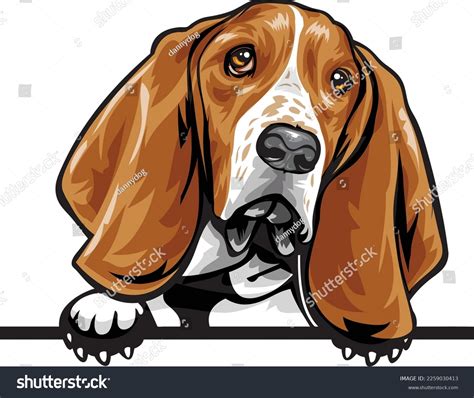 Basset Cartoon Clipart Hound