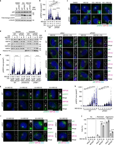 Centriolar Satellites Direct Protein Aggregates To The Aggresome In The