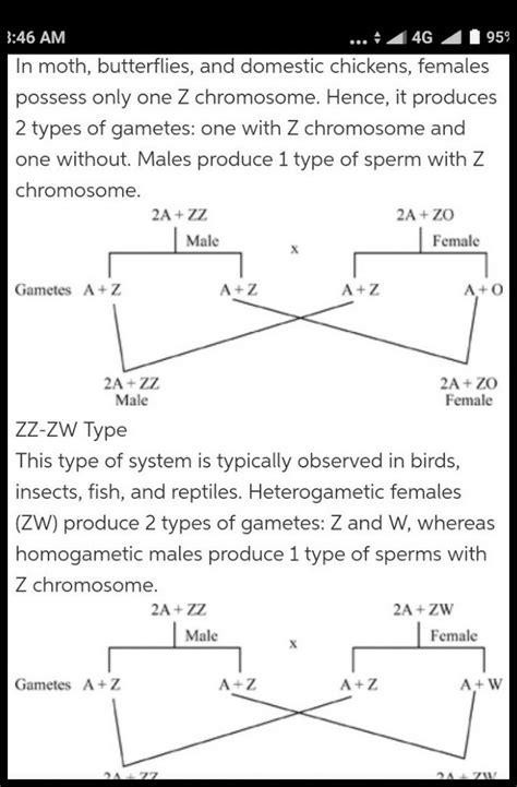 Explain Female Heterogamety With Example Biology Principles Of