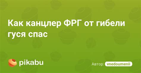 Как канцлер ФРГ от гибели гуся спас | Пикабу