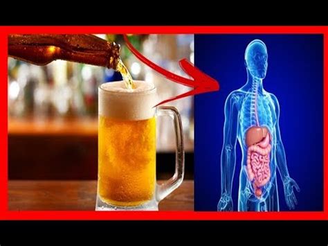 Cerveja Inflama O Corpo - Isso é o que Pode Acontecer com seu Corpo Quando Você Toma Cerveja ...