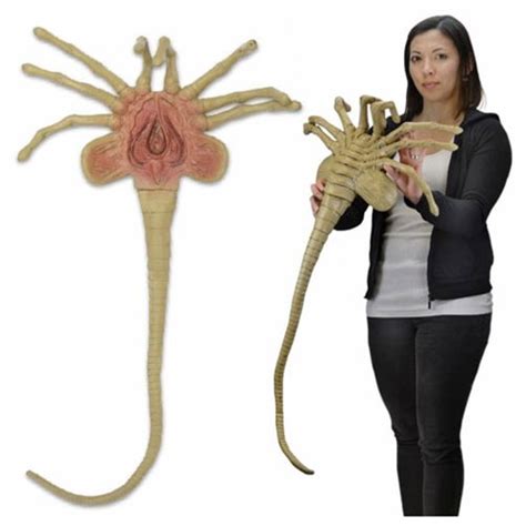 NECA - Alien 1:1 scale Xenomorph Facehugger Alien Creature prop replica ...