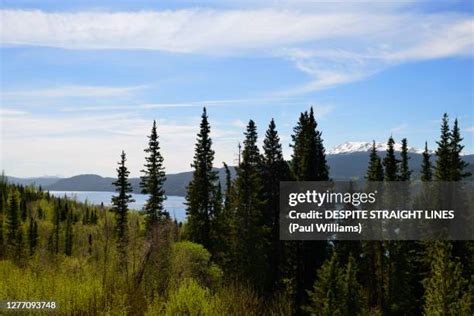 dease lake stock  high res pictures  images getty images