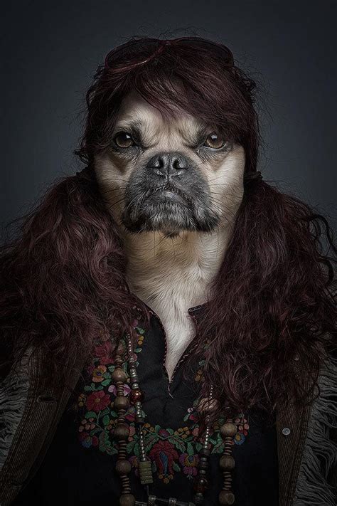 Funny Portraits Of Dogs Dressed Like Humans Paperblog