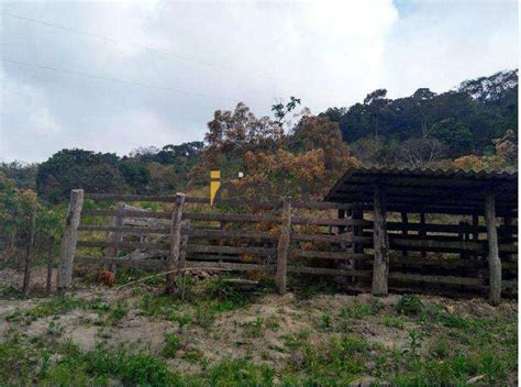 Sitio Zona Rural Bom PECHINCHAS Maio Clasf