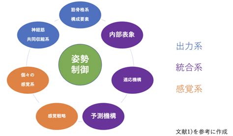 【評価】バランスに対する評価① 理学療法士・作業療法士・言語聴覚士の求人、セミナー情報なら【post】