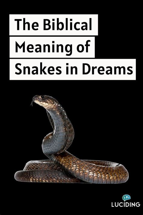 The Biblical Meaning Of Snakes In Dreams Artofit