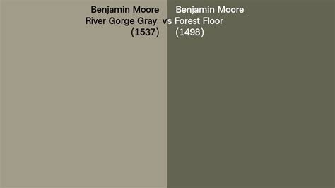 Benjamin Moore River Gorge Gray Vs Forest Floor Side By Side Comparison