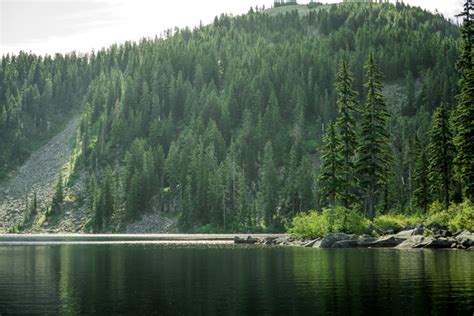 Mason Lake Ira Spring Memorial Trail Washington Photorator