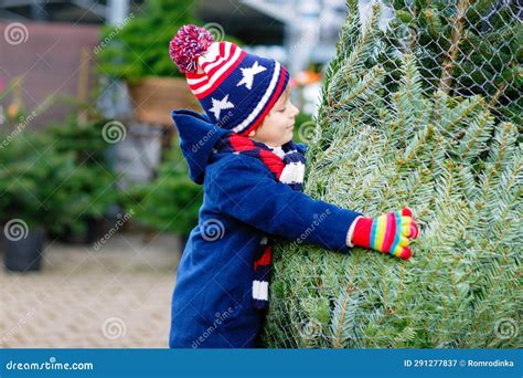 Adorable Little Smiling Kid Boy Holding Christmas Tree On Market Happy