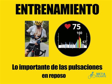 Pulsaciones En Reposo Y Su Importancia En El Ciclismo Meta Volante