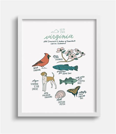 Virginia State Symbols Illustration Print - Etsy