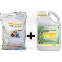 Merpan 80 WDG 9kg Fungicid Orius 25 EW 3L Adjuvant Velocity 2L Pachet