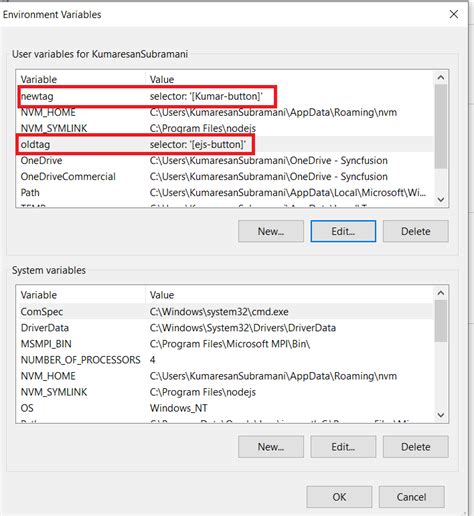 Environmental Variables Windows