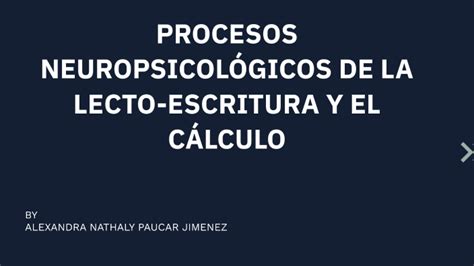 Procesos Neuropsicol Gicos De La Lecto Escritura Y El C Lculo By