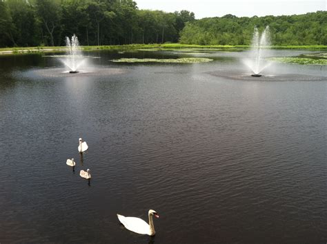 A beautiful spring day on the Old Mill Pond is Spring Lake Heights/Wall