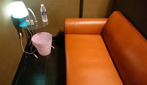 Pink Salon Sex Guide To Japan