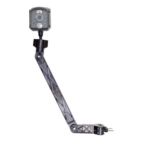 Wingscapes Bird Camera Arm Mount Buy Now