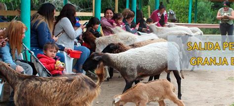 Salida Pedagógica a Granja Educativa en Patagual Escuela Ambrosio O