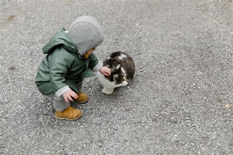 What Are The Best Cat Breeds For An Autistic Child? - Top Cat Breeds