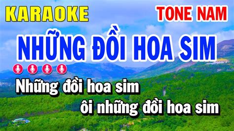 Karaoke Nh Ng I Hoa Sim Tone Nam Dm Nh C S Ng Hu Nh L Youtube