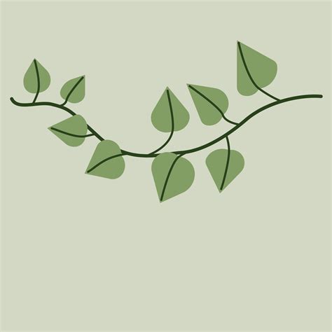 Simplicity Ivy Drawing Flat Design 13318542 Vector Art At Vecteezy