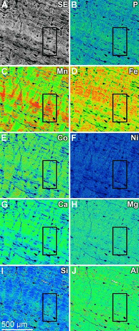 Semi Quantitative Compositional Map Of Major Elements In A Thin Section